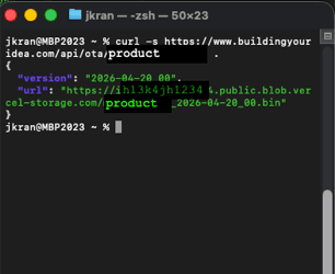 API Response